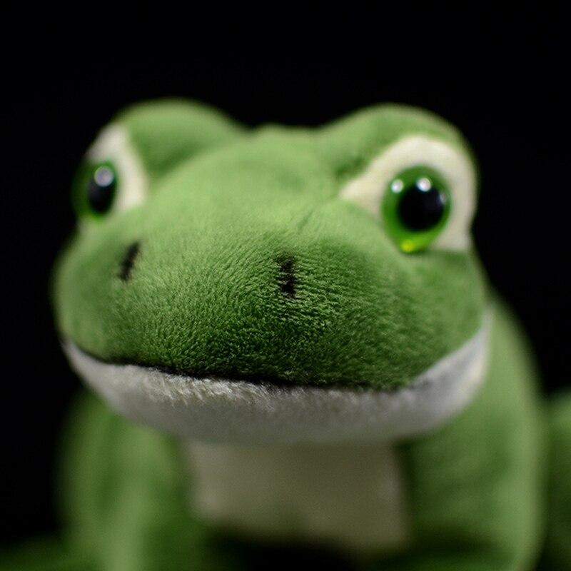Peluche Rana Verde - Imagen 4