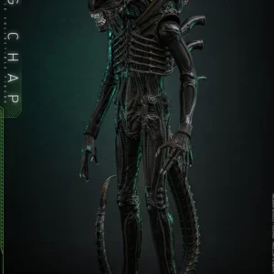 ALIEN – FIGURA BIG CHAP 1/6 (HOT TOYS – MOVIE MASTERPIECE) 36 CM